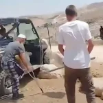 Evil Israeli land thief uses iron bar to attack Palestinian amputee