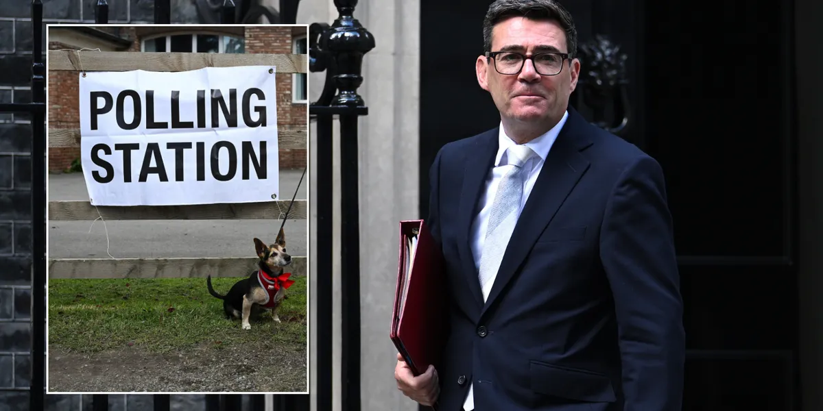 Andy Burnham urged to force through compulsory voting to avoid ‘distorted’ election results