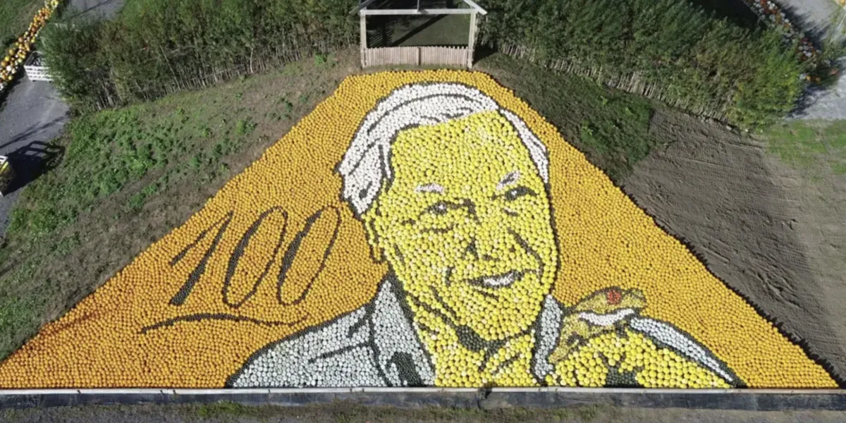 David Attenborough pumpkin mosaic breaks world record as farm celebrates achievement for second year running