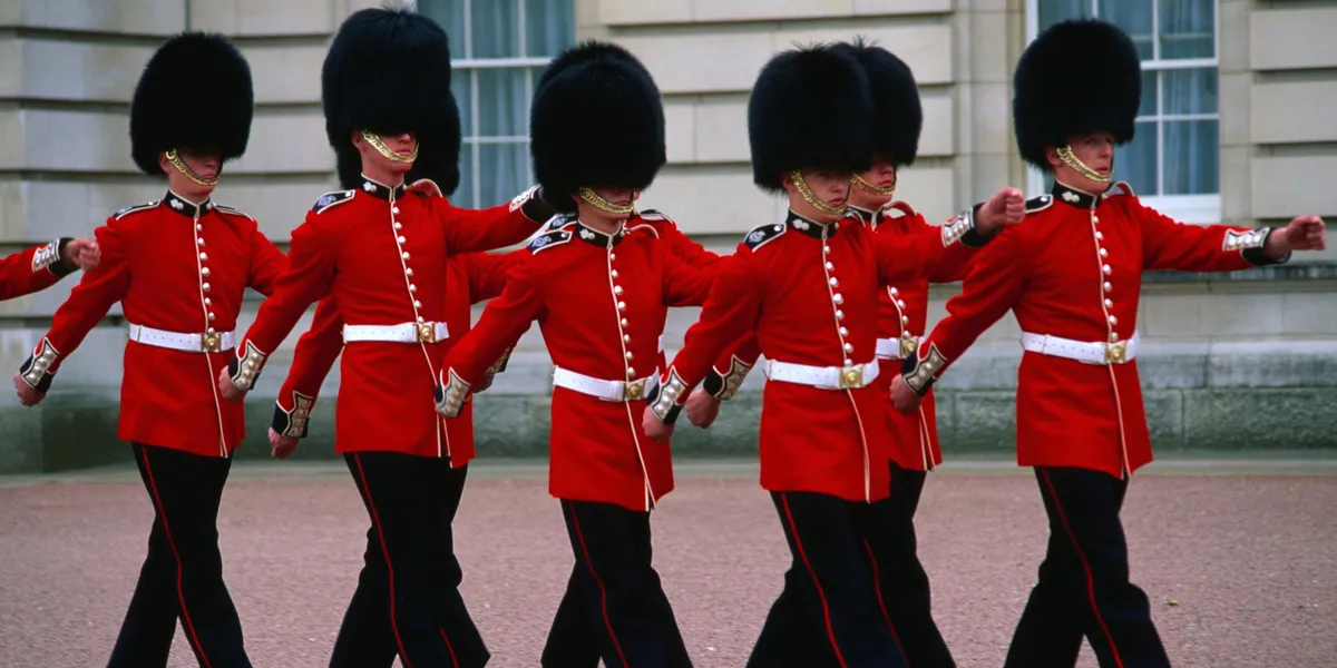 King’s Guard bearskin hats: MPs demand faux fur replacement as 200-year-old military tradition faces axe