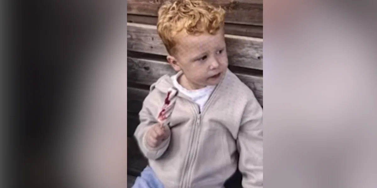 Brantham news: Boy, 3, goes missing from playground as police launch search for toddler