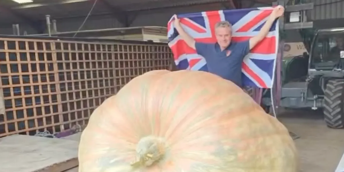 Halloween: British pumpkin breaks world record weighing over 1.2tonnes