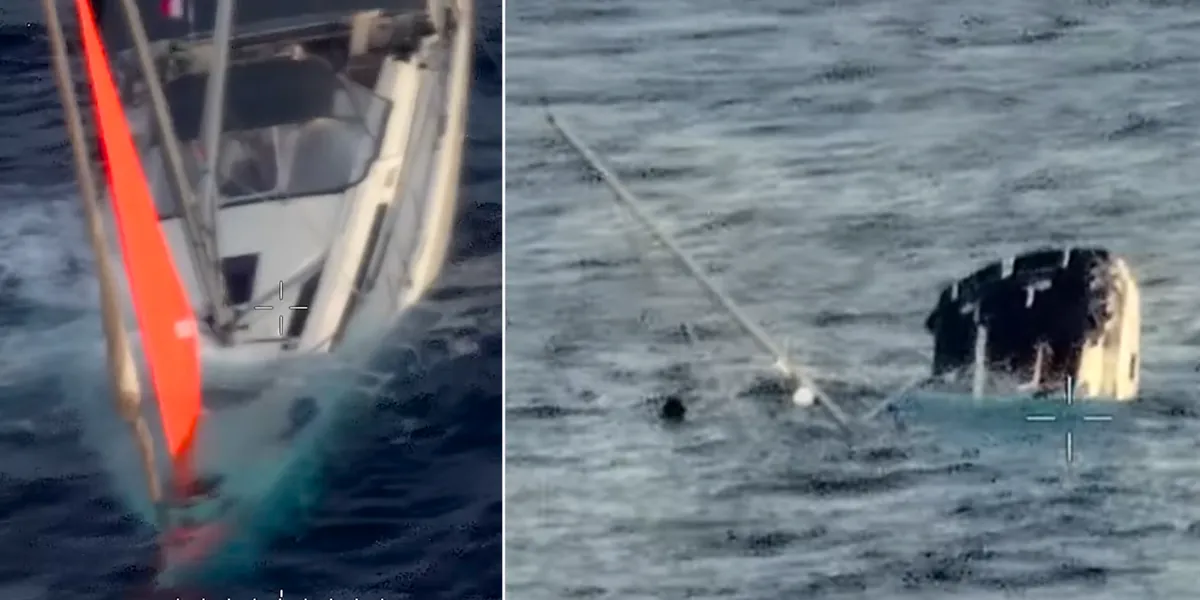 New Zealand sailors fight for survival after ‘real-life Moby Dick’ sinks their yacht in remote Pacific Ocean